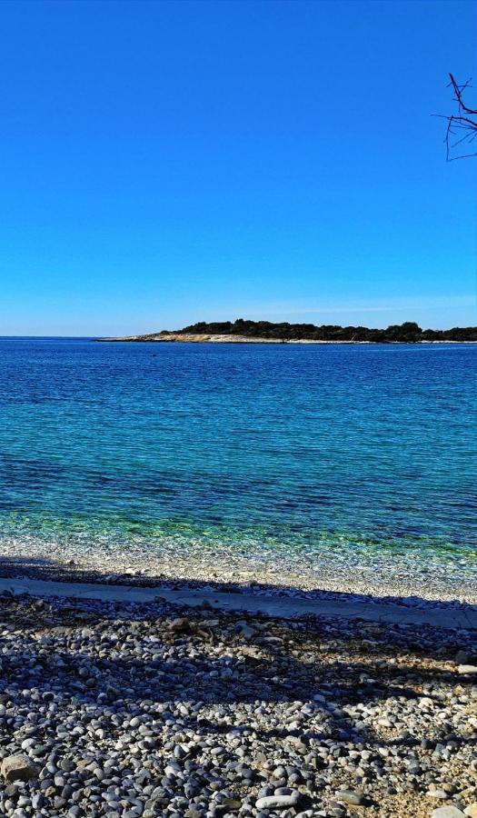 Black Pearl - Luxury Seaside App With Pool & Bbq, Istra Банджоле Экстерьер фото