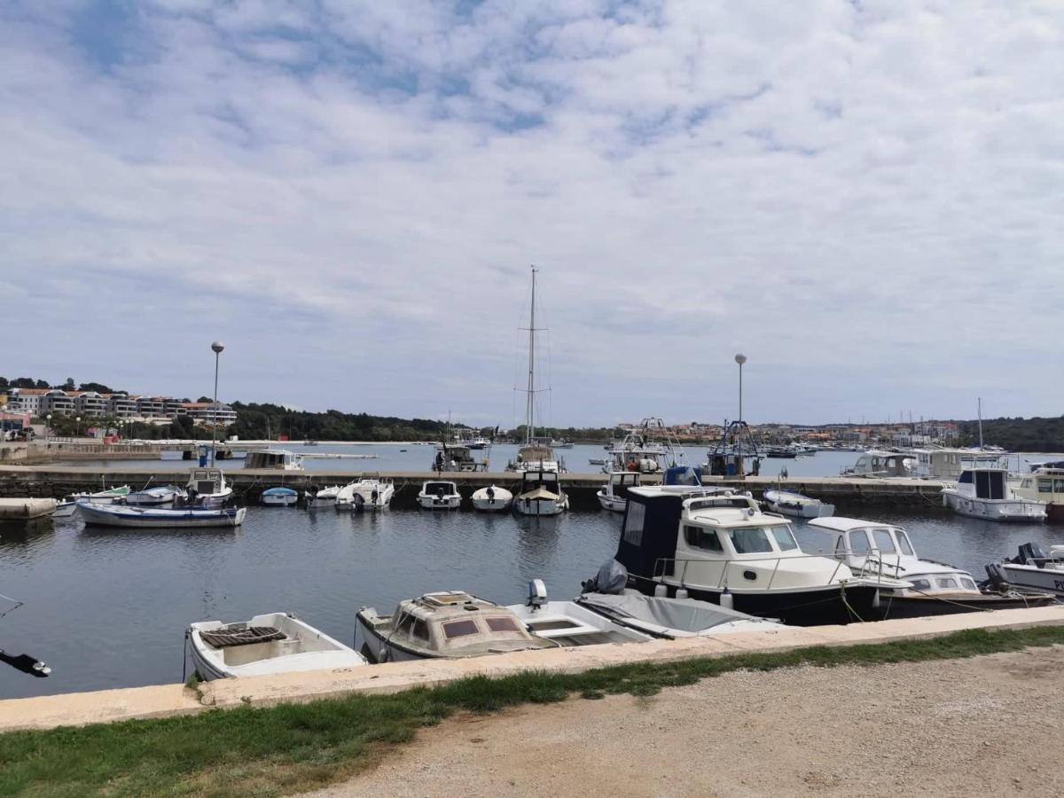 Black Pearl - Luxury Seaside App With Pool & Bbq, Istra Банджоле Экстерьер фото